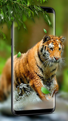 Unduh 530 Koleksi Gambar Harimau Buat Wallpaper  Gratis HD