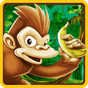 Icône apk Jeux de singe - Ile de bananes
