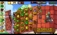 Plants vs. Zombies image 10