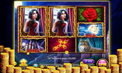 Immagine  di Slots Transylvania™:FREE slots