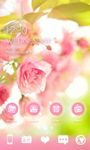 Miss Flower GO Launcher Theme image 3