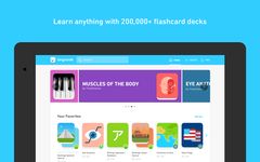 Картинка 4 Tinycards by Duolingo: Fun & Free Flashcards