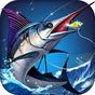 Biểu tượng apk Fishing - Catch hungry shark