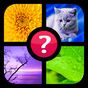 Guess the word ~ 4 pics 1 word apk icon