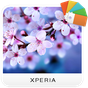 Ícone do apk XPERIA™ Spring Theme