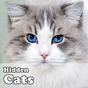 APK-иконка Can You Find a Cat? 