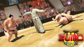 SUMO WRESTLING - GRAND SUMO GAME : REVOLUTION 2K18 image 11