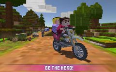 Imagem 5 do Blocky Motorbike SIM 2017