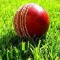 Icône apk Cricket Live
