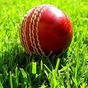 Cricket Live APK