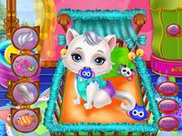 Γάτα ζώων γέννηση παιχνίδια εικόνα 5