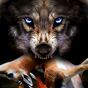 APK-иконка Life of Wolf Reboot