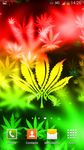 Gambar Rasta Ganja Wallpaper Animasi 7