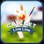 Cricket Live Line APK