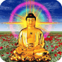 APK-иконка Buddha Wallpaper