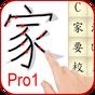 Ícone do Learn Chinese Mandarin Full