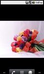 Captura de tela do apk Flowers Top Photo Gallery 1