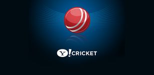 Immagine 4 di Yahoo Cricket