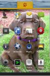 Captura de tela do apk Labrador Theme 