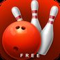 Bowling Game 3D FREE