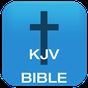 Audio Bible KJV apk icon