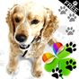 Cute Dog Theme for GO Launcher APK