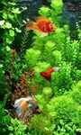 Imagem 4 do Aquarium Slide Live Wallpaper