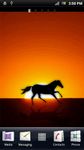 Imagem 1 do Wild Horse Live Wallpaper