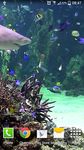 Aquarium live wallpaper obrazek 10