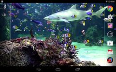 Aquarium live wallpaper εικόνα 