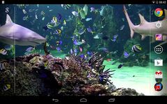 Gambar Aquarium live wallpaper 1