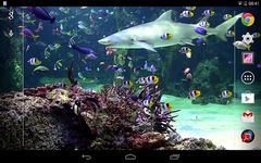 Aquarium live wallpaper imgesi 2