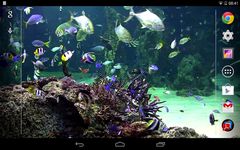 Gambar Aquarium live wallpaper 3