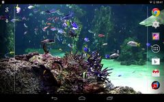 Gambar Aquarium live wallpaper 4