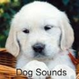 Dog Sounds APK Simgesi