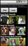 Imagem  do Dog Sounds