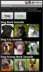 Dog Sounds imgesi 1