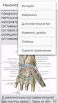 Картинка 6 Атлас анатомии человека