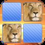 Memo Spiel Wild Tiere Foto APK Icon