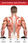 Captura de tela do apk Muscle Building Back+Shoulders 7