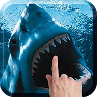 Download Shark Attack Live Wallpaper 41 Free Apk Android