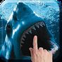 Shark Attack Live Wallpaper apk icon