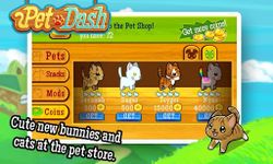 Imagem 4 do Pet Dash