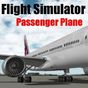 Flight Sim Passenger Plane APK