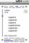 Imagem  do 1001 Spanish Verbs