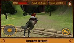 Wild Horse Rider Hill Climb 3D image 11