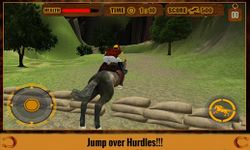 Wild Horse Rider Hill Climb 3D image 1