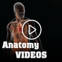 Medical Anatomy Videos apk icono