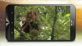 Gambar sctv tv indonesia 5
