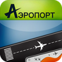 Аэропорт: Прилет и Вылет APK